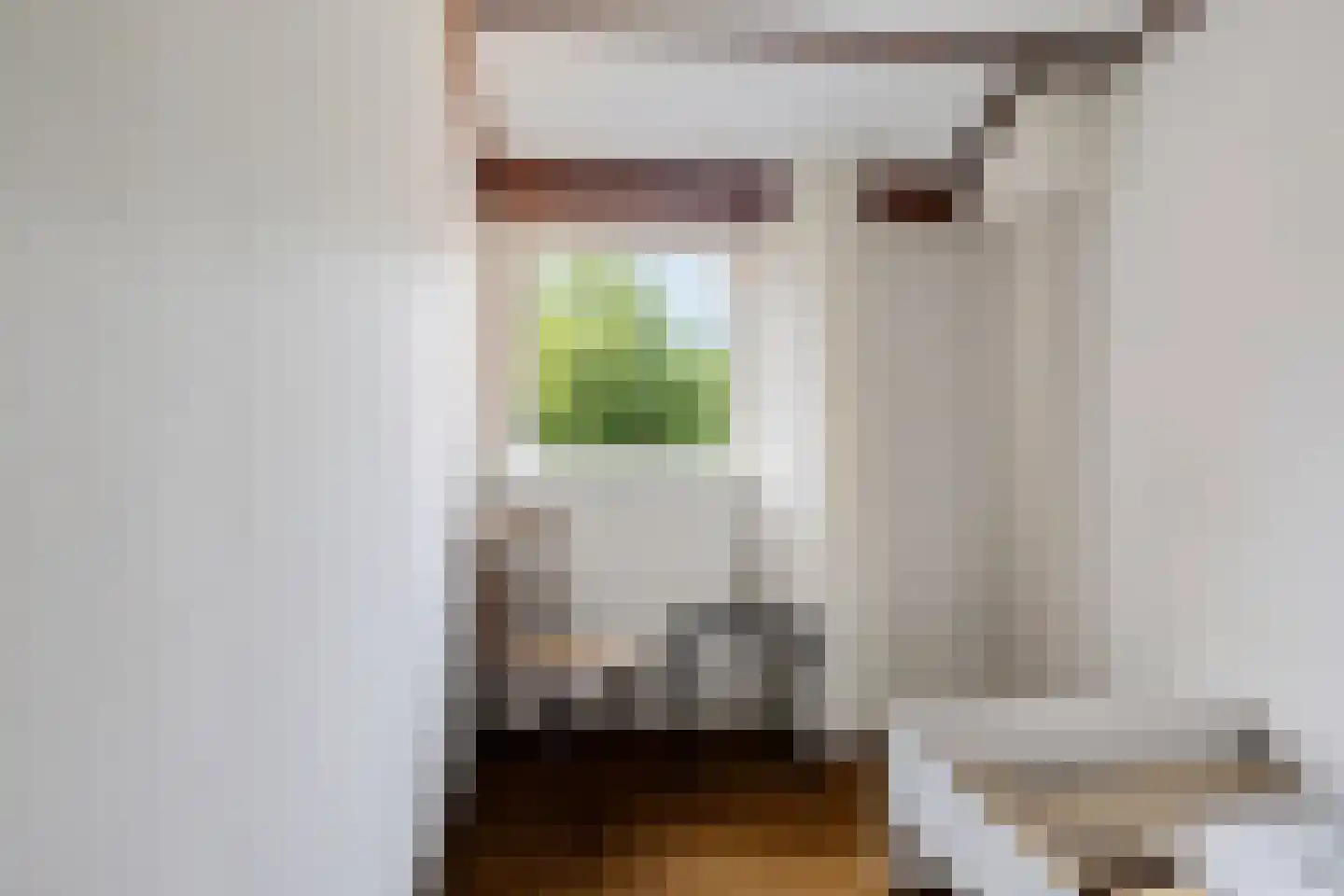 van Leeuwenhoekstraat 116 Hoogeveen thumbnail 32