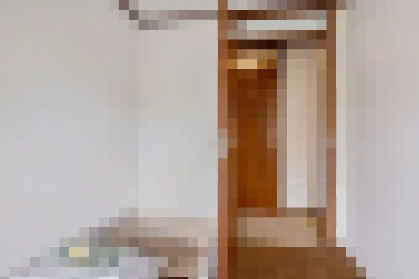 van Leeuwenhoekstraat 116 Hoogeveen thumbnail 33
