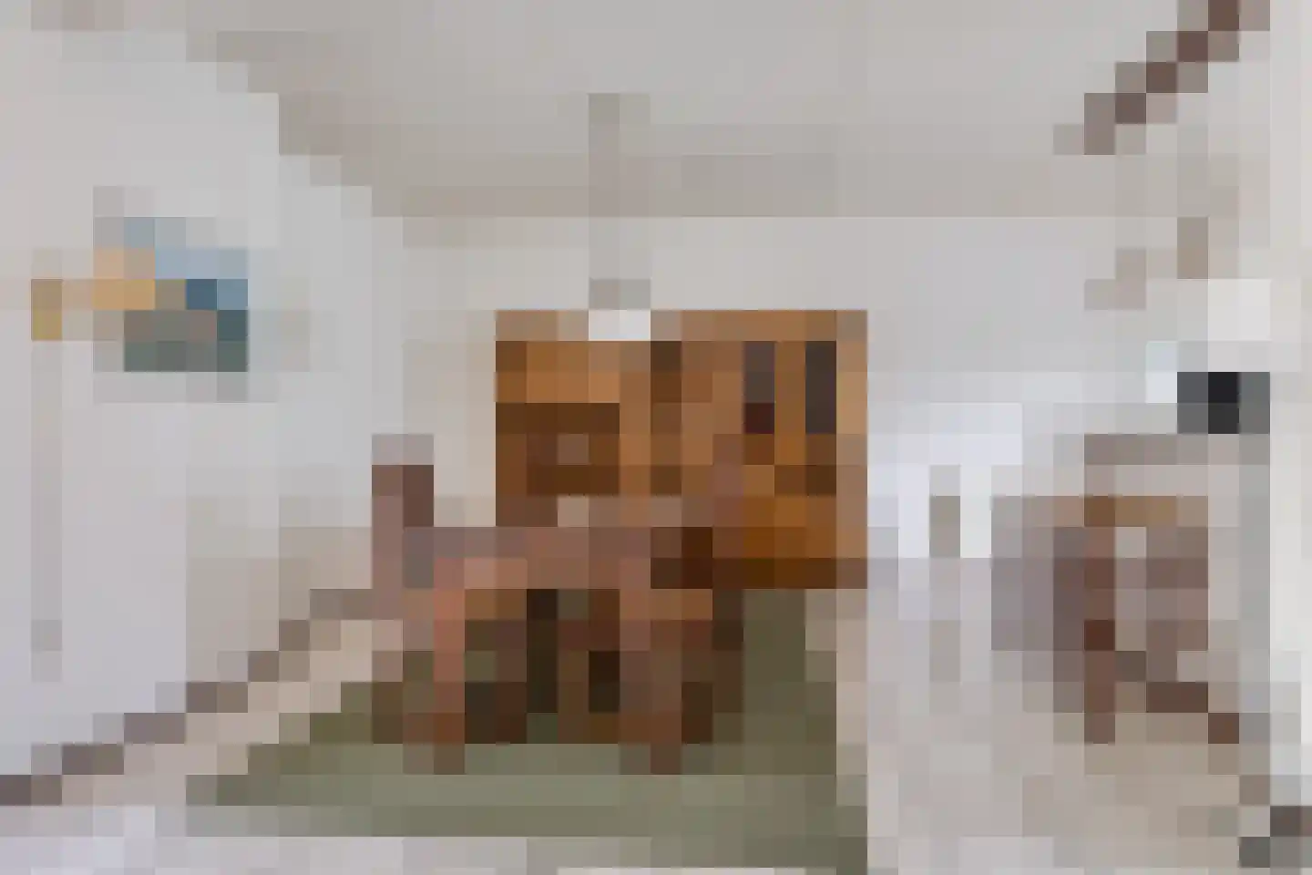 van Leeuwenhoekstraat 116 Hoogeveen thumbnail 9