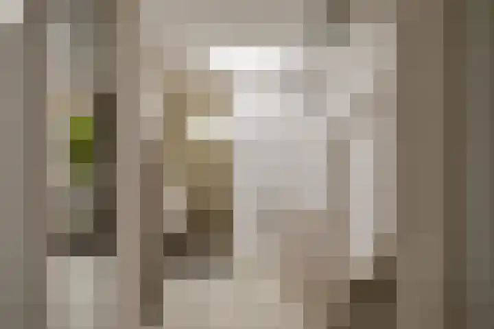 Van Leeuwenhoekstraat 12 Den Helder thumbnail 12