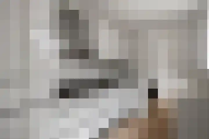 Van Leeuwenhoekstraat 12 Den Helder thumbnail 5