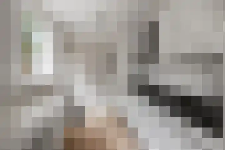Van Leeuwenhoekstraat 12 Den Helder thumbnail 6