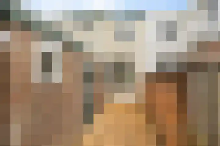 Van Leeuwenhoekstraat 12 Den Helder thumbnail 9