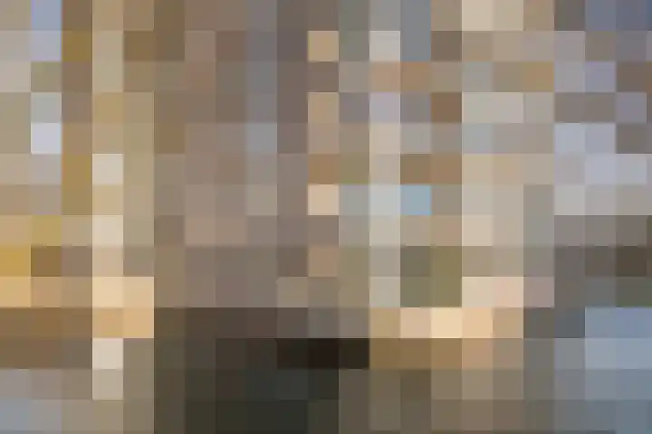Van Leeuwenhoekstraat 131 Ridderkerk thumbnail 7
