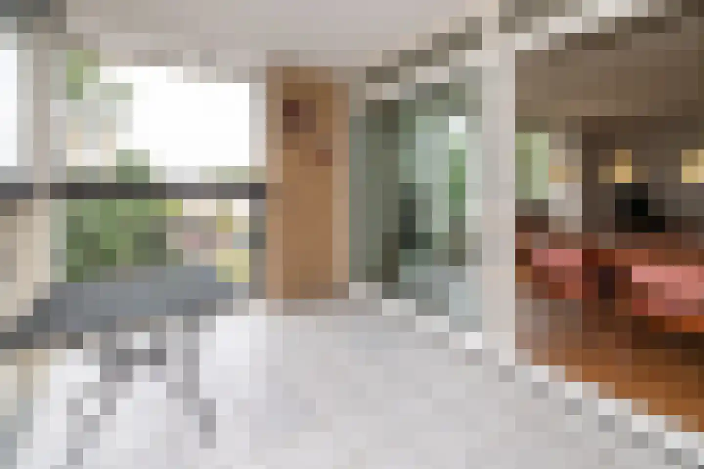 Van Leeuwenhoekstraat 146 Ridderkerk thumbnail 10