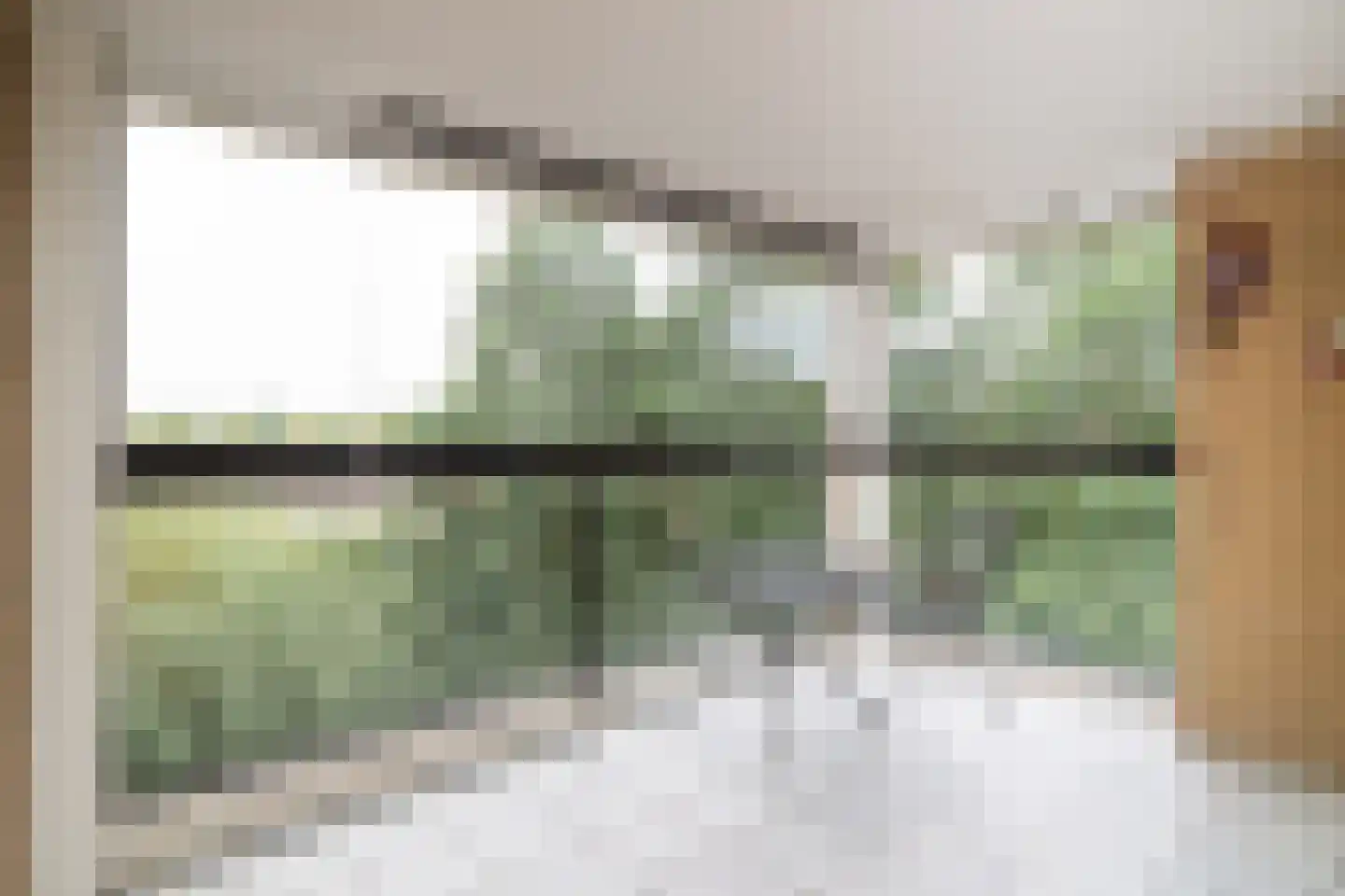 Van Leeuwenhoekstraat 146 Ridderkerk thumbnail 4