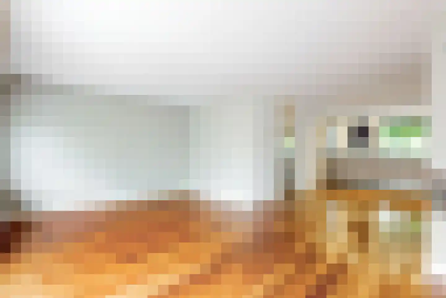 van Leeuwenhoekstraat 15 Kudelstaart thumbnail 10