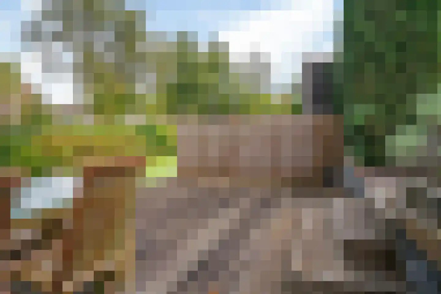 van Leeuwenhoekstraat 15 Kudelstaart thumbnail 20