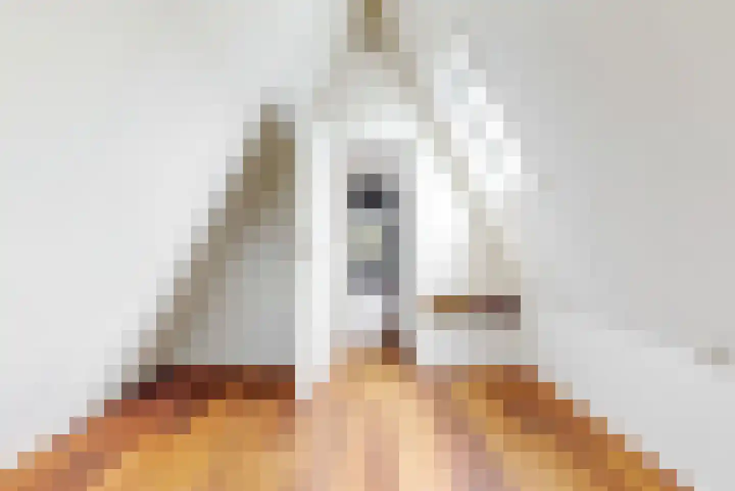 van Leeuwenhoekstraat 15 Kudelstaart thumbnail 37