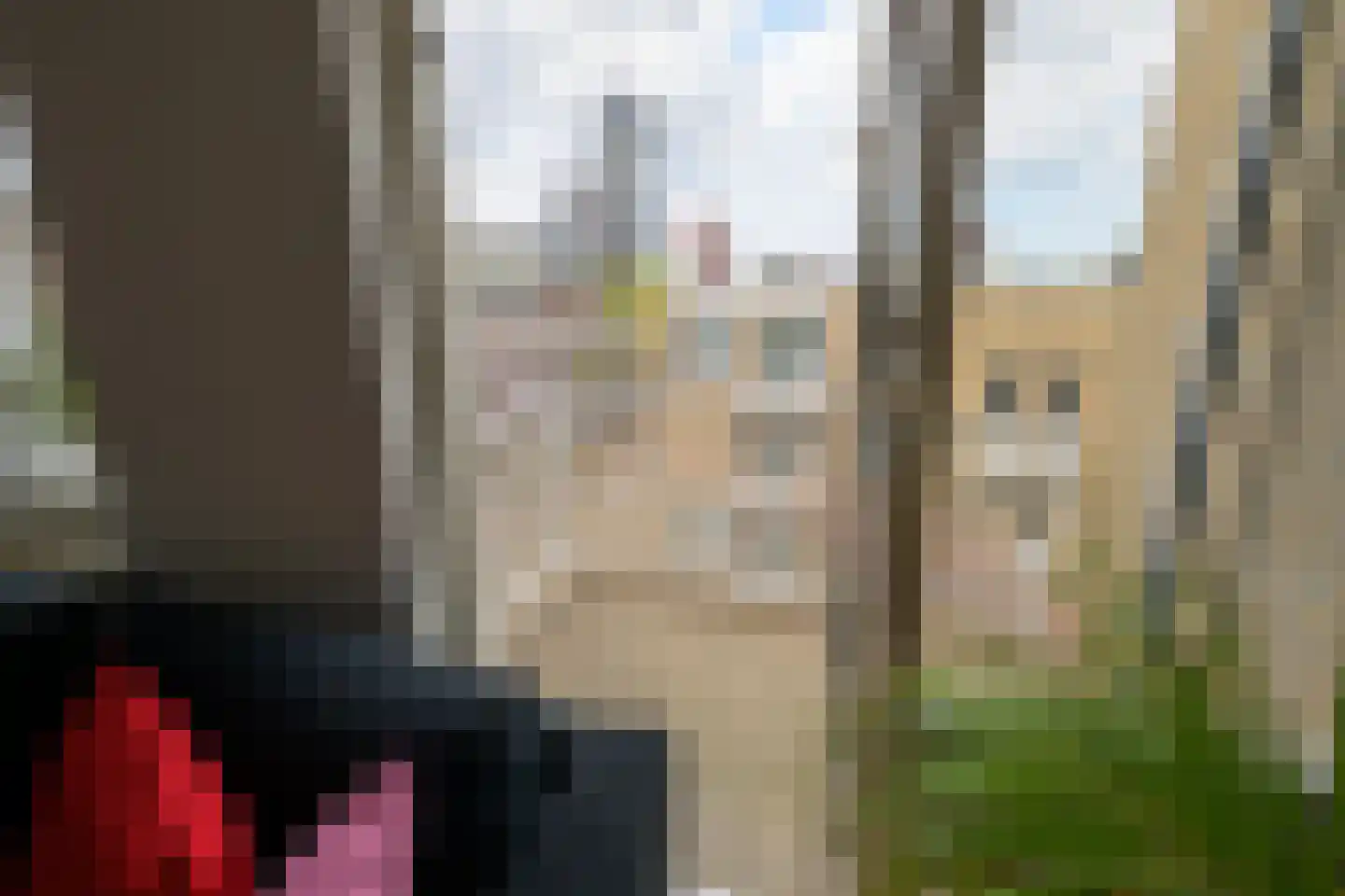 Van Leeuwenhoekstraat 151 Den Haag thumbnail 17