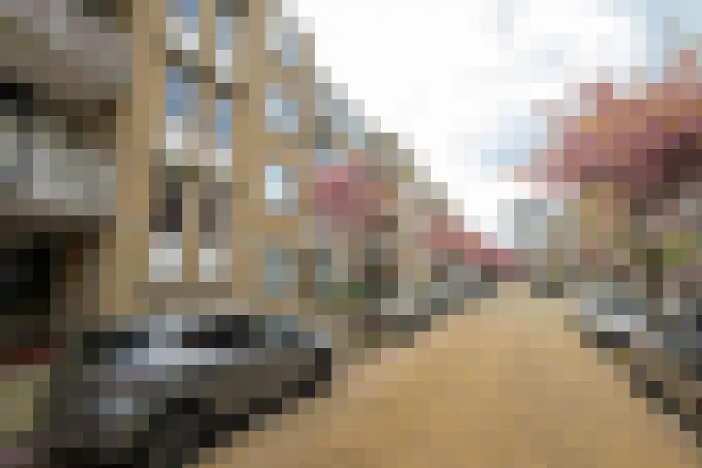 Van Leeuwenhoekstraat 151 Den Haag thumbnail 8