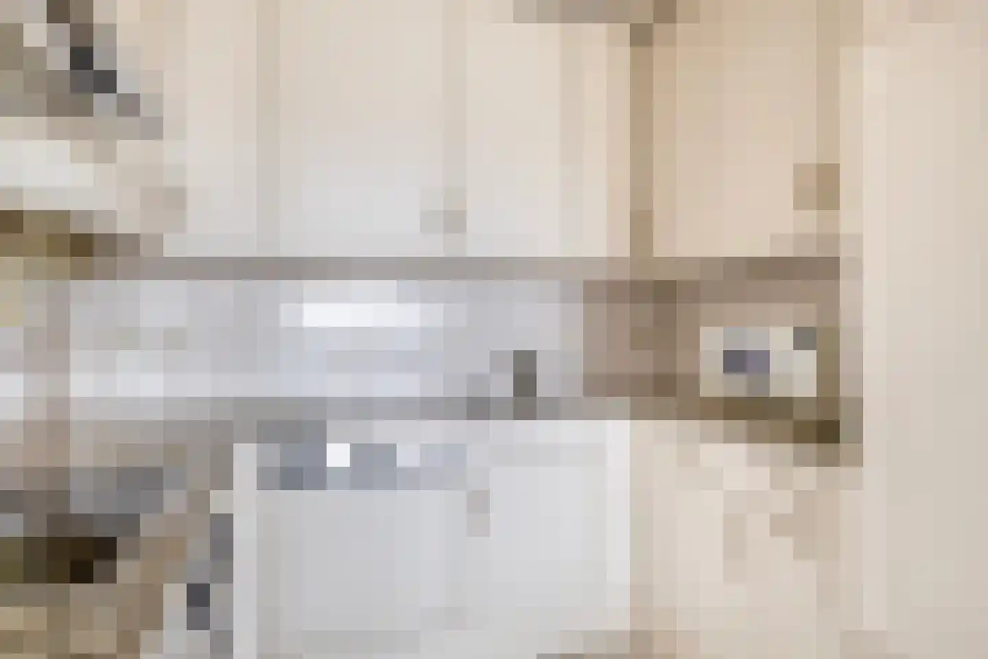 Van Leeuwenhoekstraat 152 Ridderkerk thumbnail 23