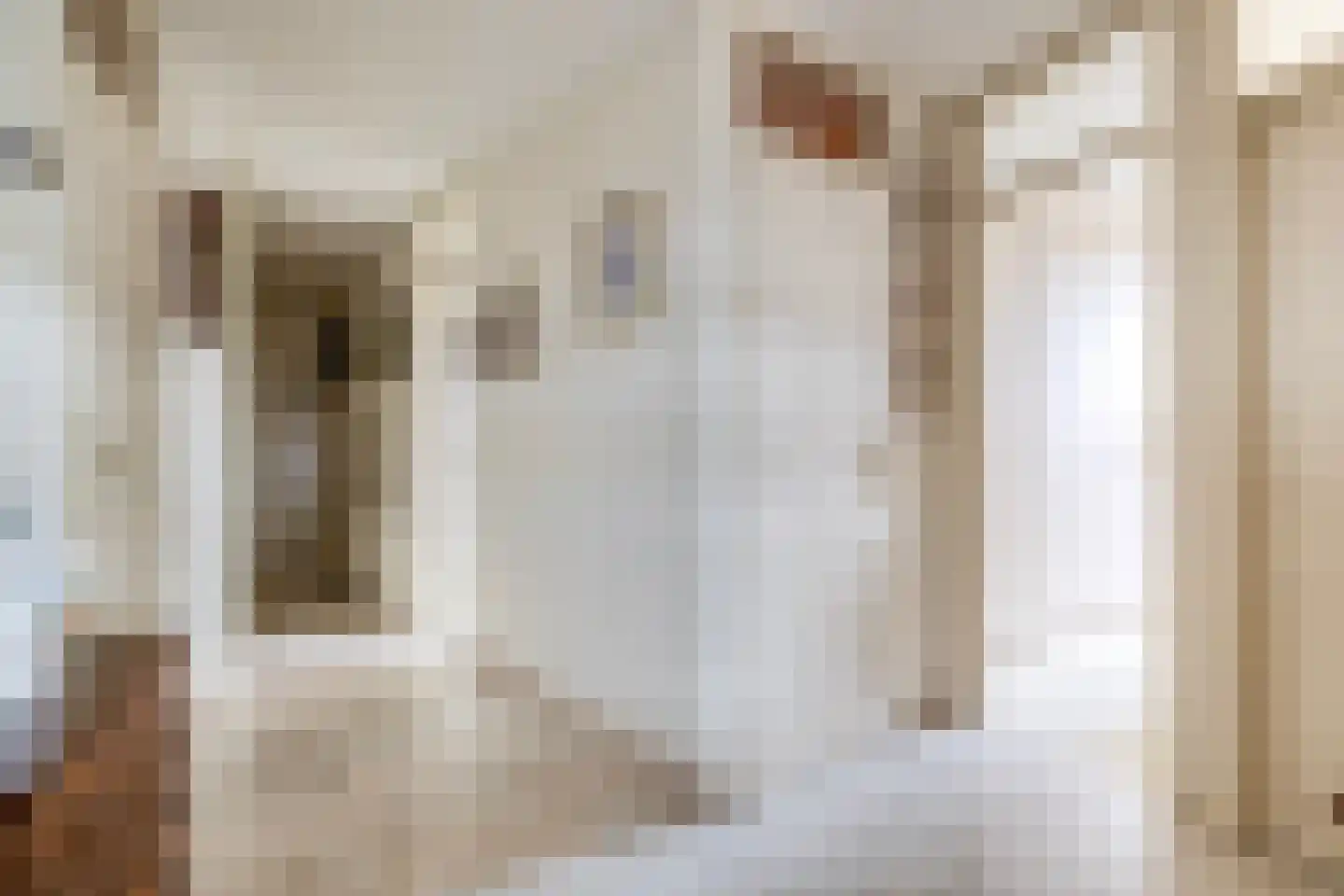 Van Leeuwenhoekstraat 152 Ridderkerk thumbnail 24