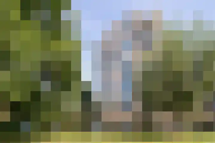 Van Leeuwenhoekstraat 159 Ridderkerk thumbnail 4