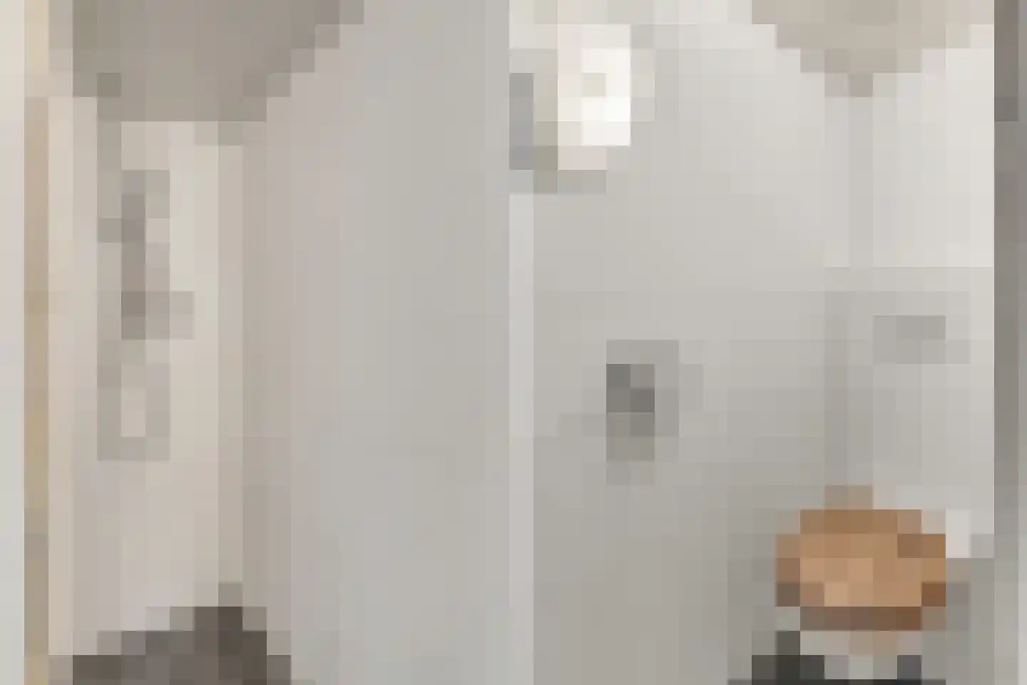 Van Leeuwenhoekstraat 16 Hilversum thumbnail 12