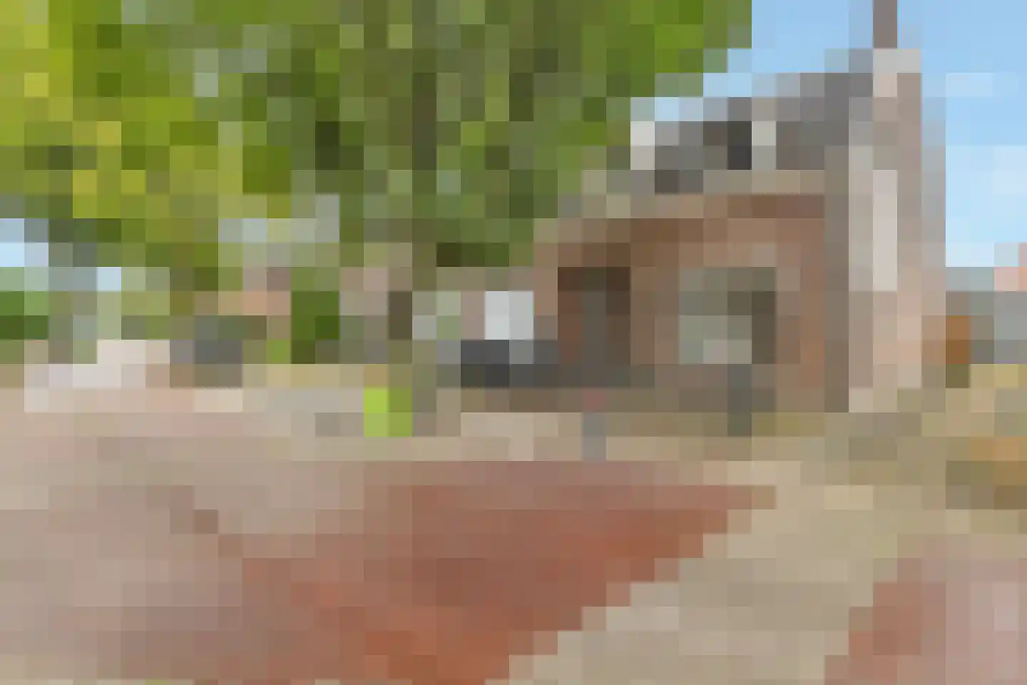 Van Leeuwenhoekstraat 16 Hilversum thumbnail 23