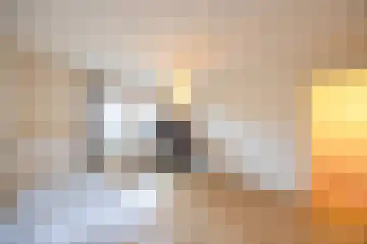 Van Leeuwenhoekstraat 170 Hilversum thumbnail 22