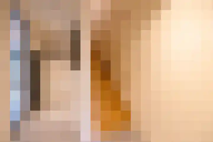 Van Leeuwenhoekstraat 170 Hilversum thumbnail 5