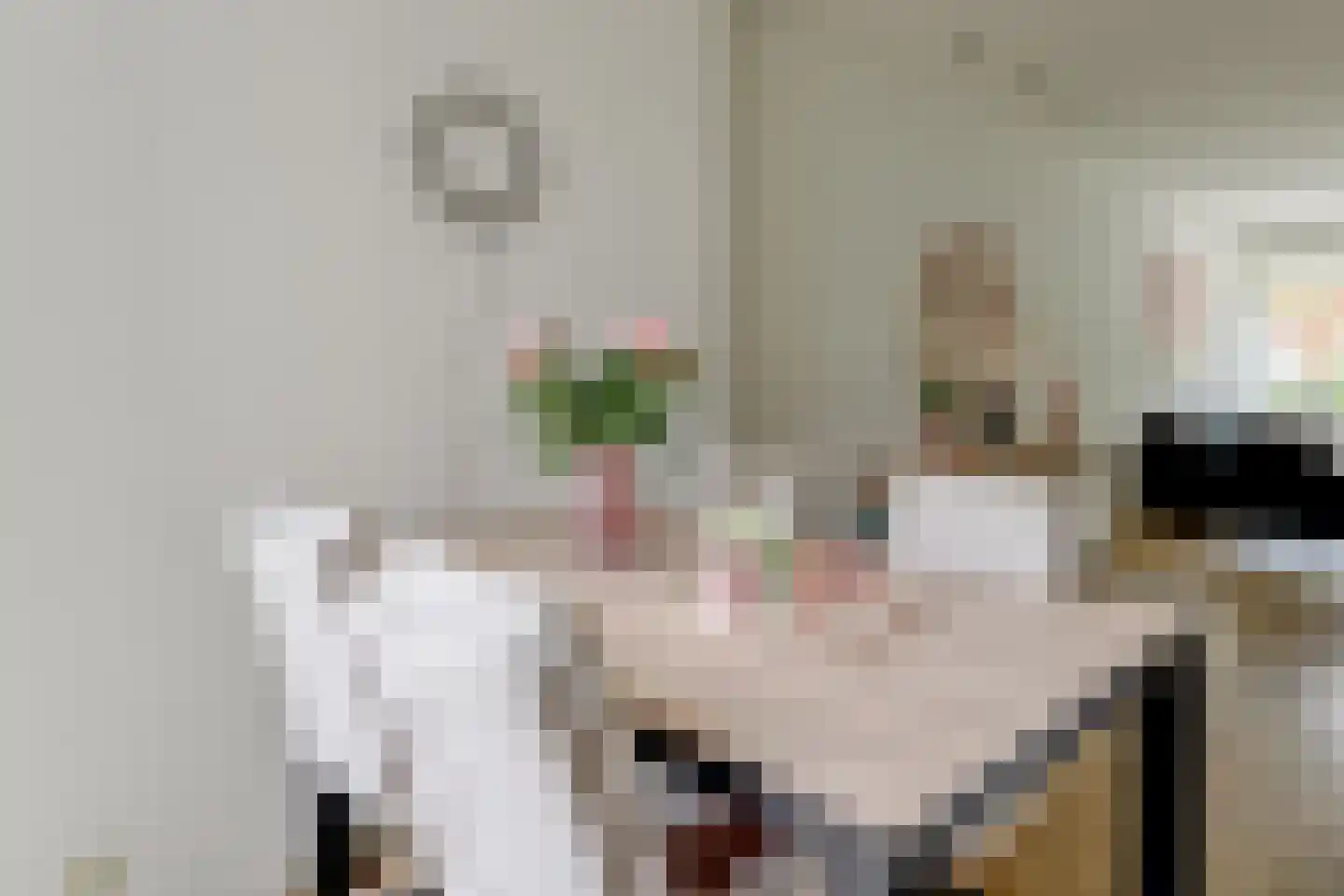 Van Leeuwenhoekstraat 19 Den Helder thumbnail 18