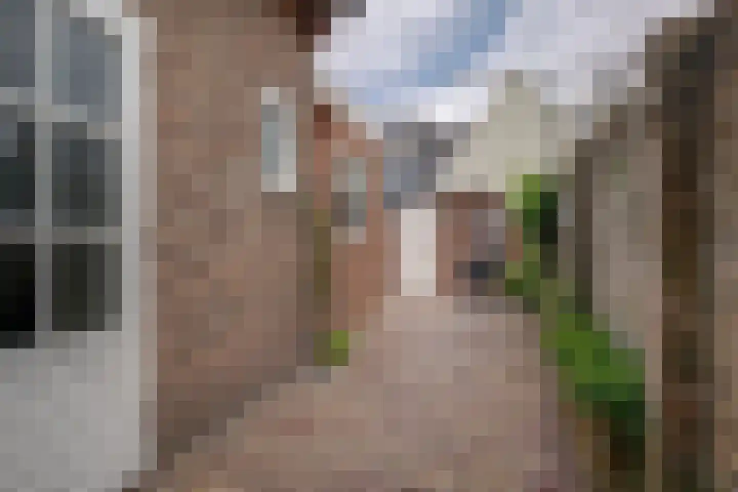 Van Leeuwenhoekstraat 19 Den Helder thumbnail 26