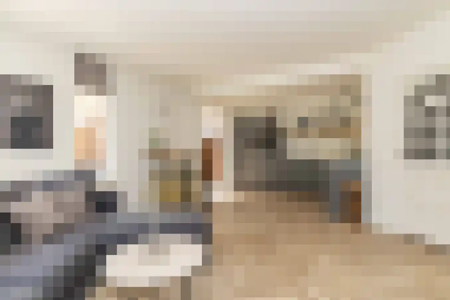 van Leeuwenhoekstraat 21 Hoogeveen thumbnail 11