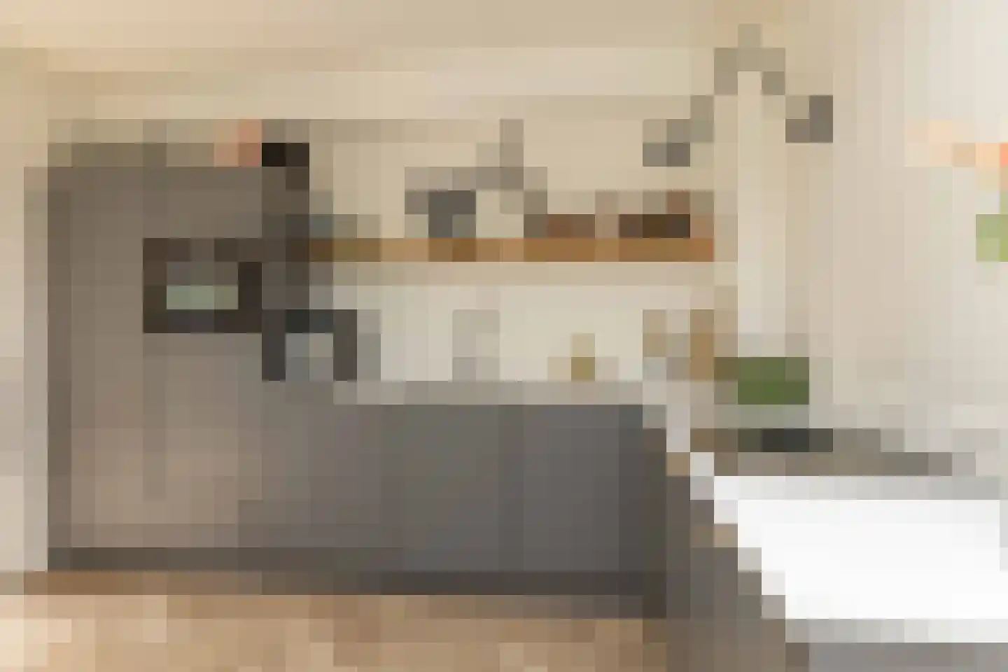 van Leeuwenhoekstraat 21 Hoogeveen thumbnail 14