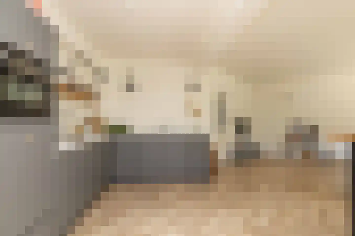 van Leeuwenhoekstraat 21 Hoogeveen thumbnail 15