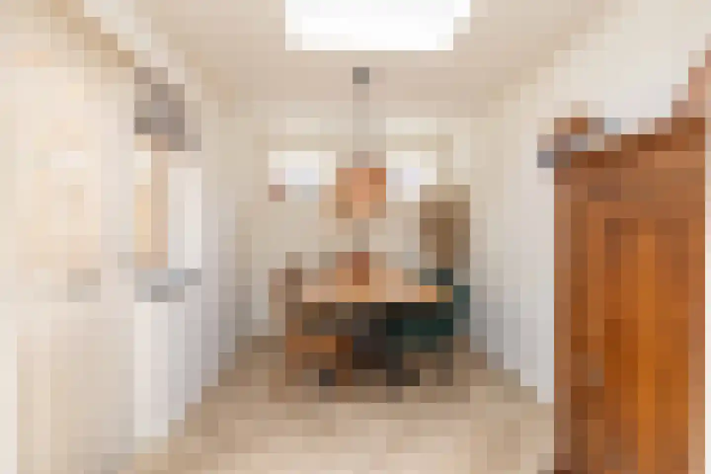 van Leeuwenhoekstraat 21 Hoogeveen thumbnail 17