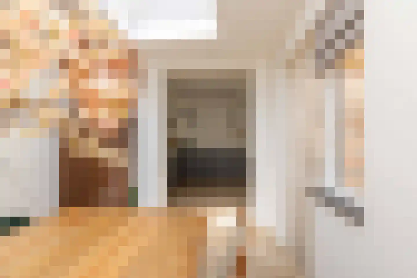 van Leeuwenhoekstraat 21 Hoogeveen thumbnail 18