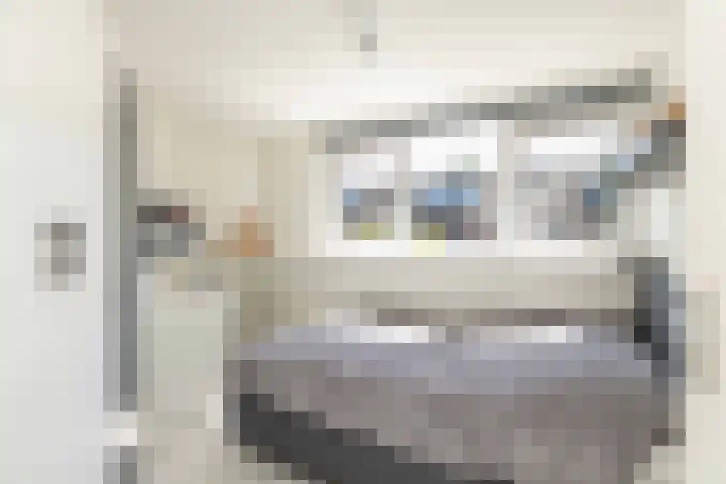 van Leeuwenhoekstraat 21 Hoogeveen thumbnail 27