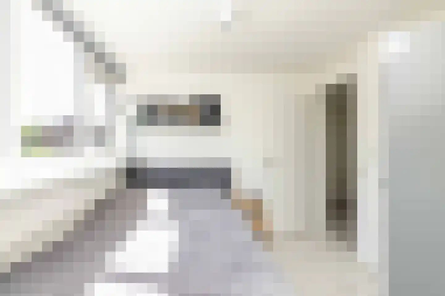 van Leeuwenhoekstraat 21 Hoogeveen thumbnail 28