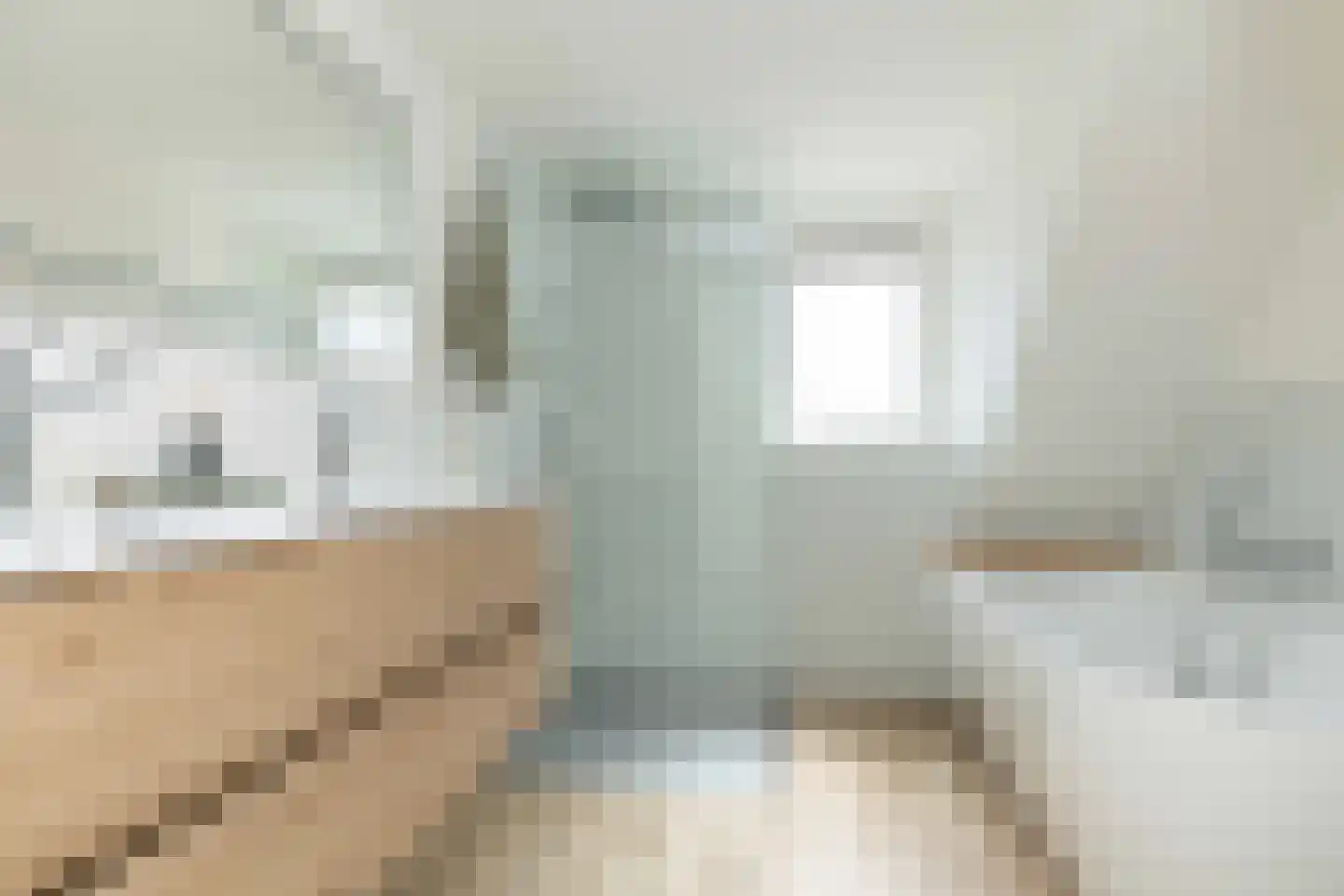 van Leeuwenhoekstraat 21 Hoogeveen thumbnail 31