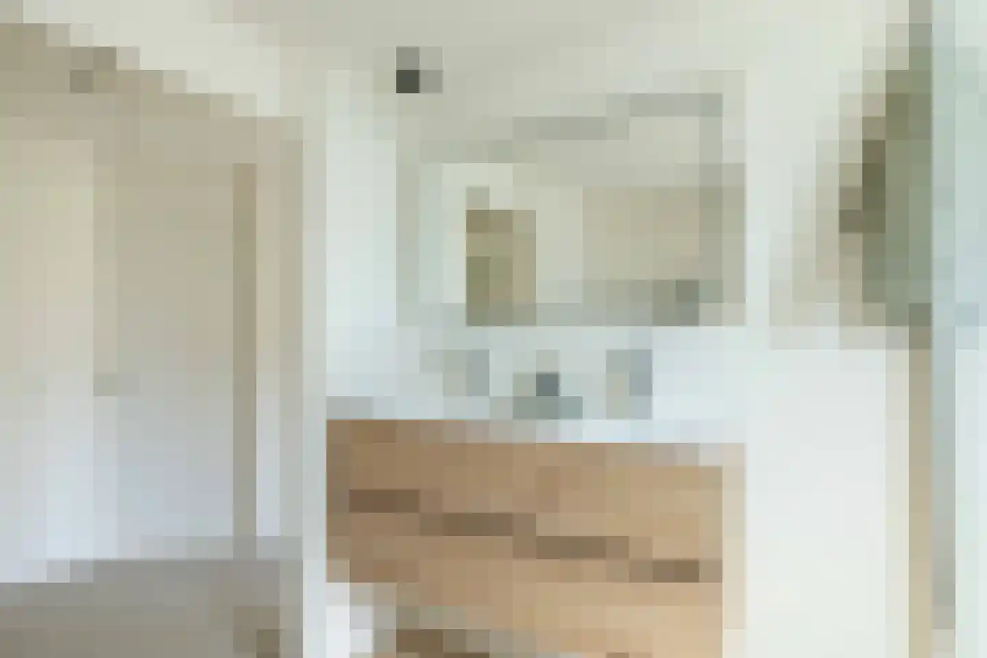 van Leeuwenhoekstraat 21 Hoogeveen thumbnail 32