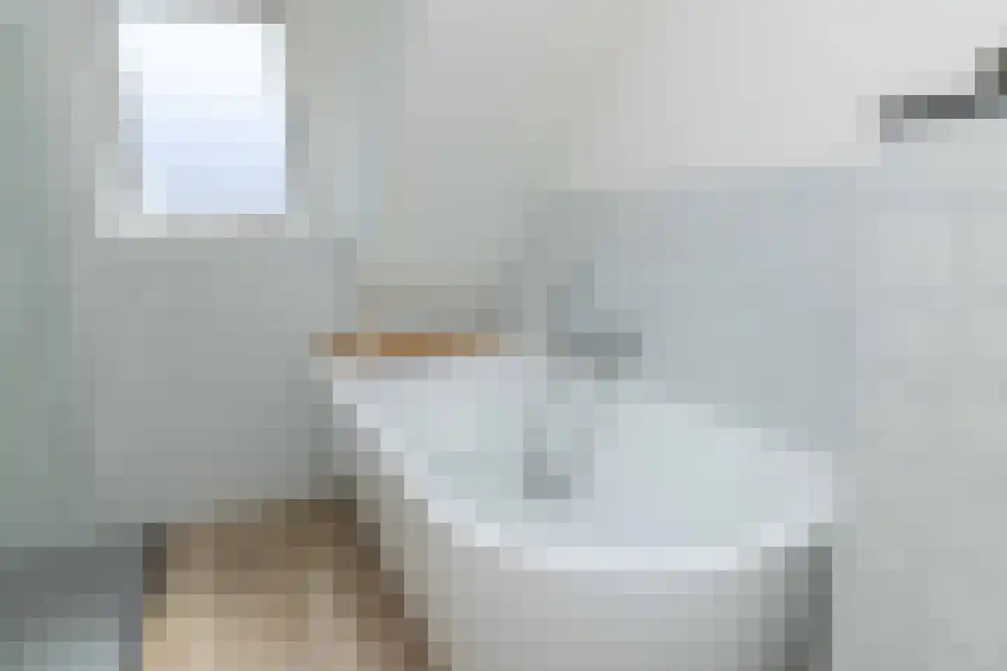 van Leeuwenhoekstraat 21 Hoogeveen thumbnail 34