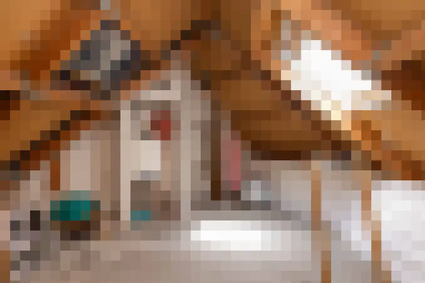 van Leeuwenhoekstraat 21 Hoogeveen thumbnail 36