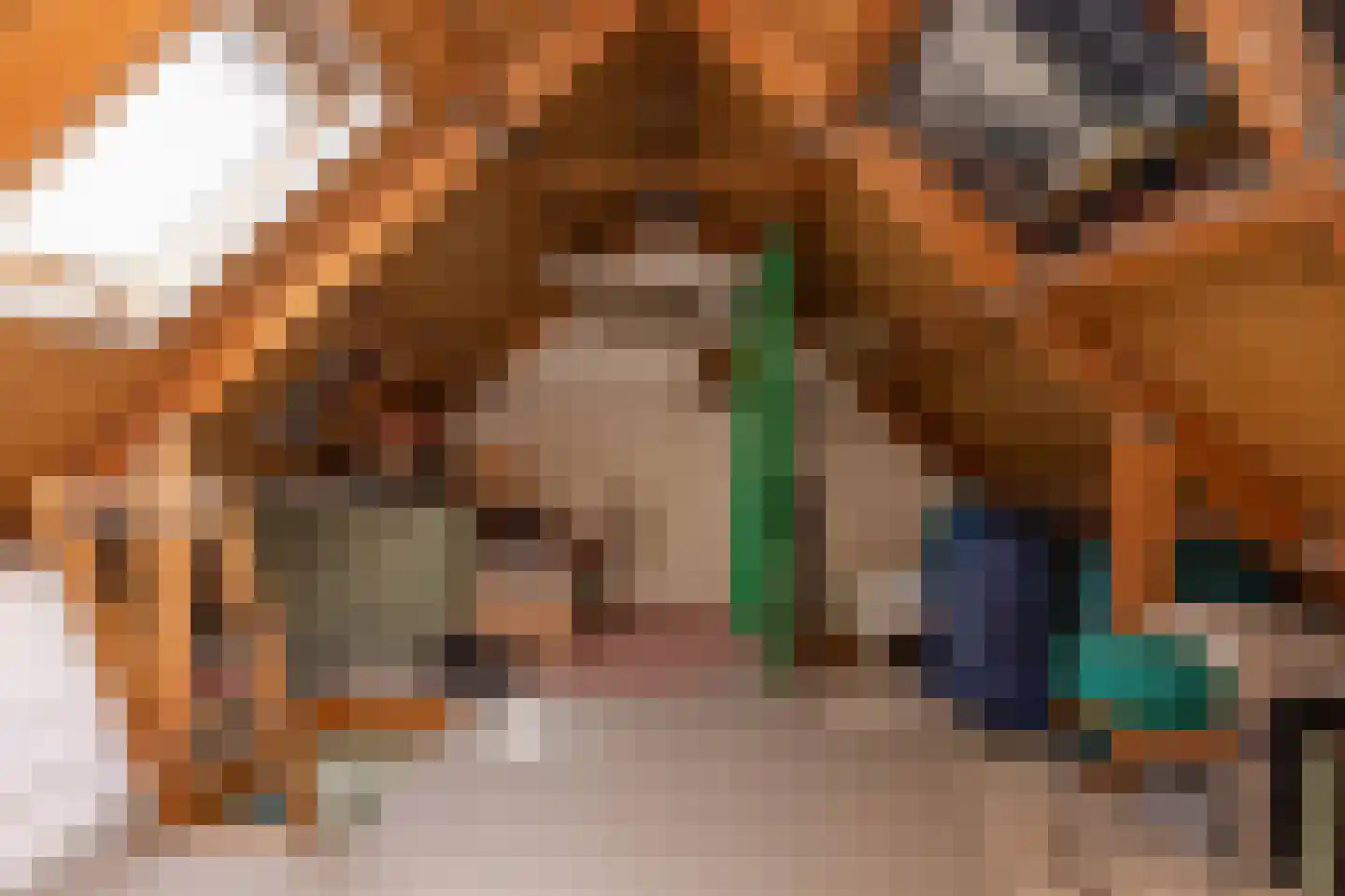van Leeuwenhoekstraat 21 Hoogeveen thumbnail 37