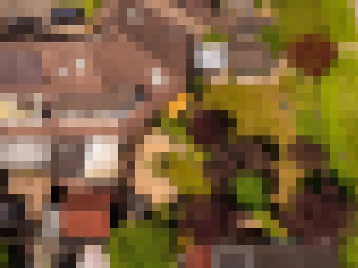 van Leeuwenhoekstraat 21 Hoogeveen thumbnail 38