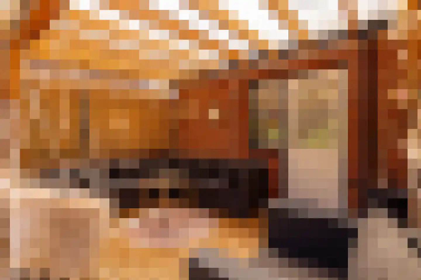 van Leeuwenhoekstraat 21 Hoogeveen thumbnail 40