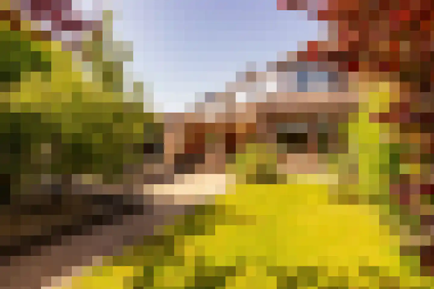 van Leeuwenhoekstraat 21 Hoogeveen thumbnail 42