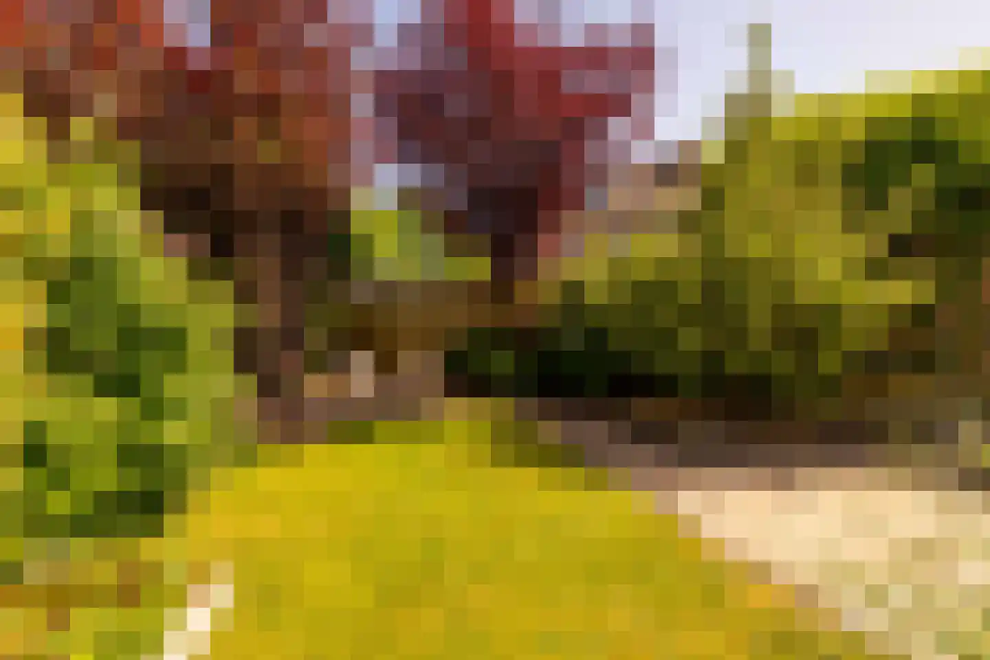 van Leeuwenhoekstraat 21 Hoogeveen thumbnail 44