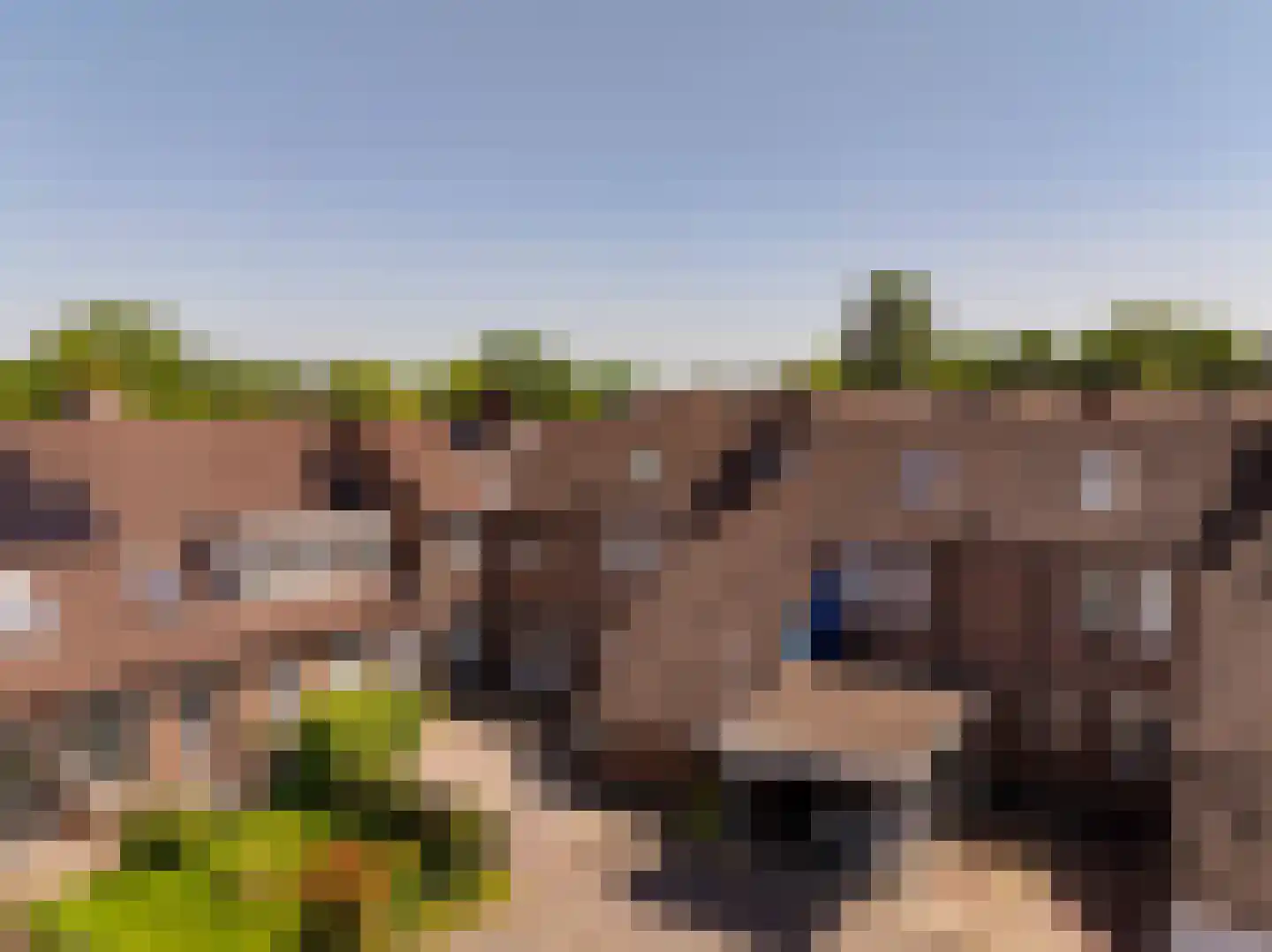 van Leeuwenhoekstraat 21 Hoogeveen thumbnail 47