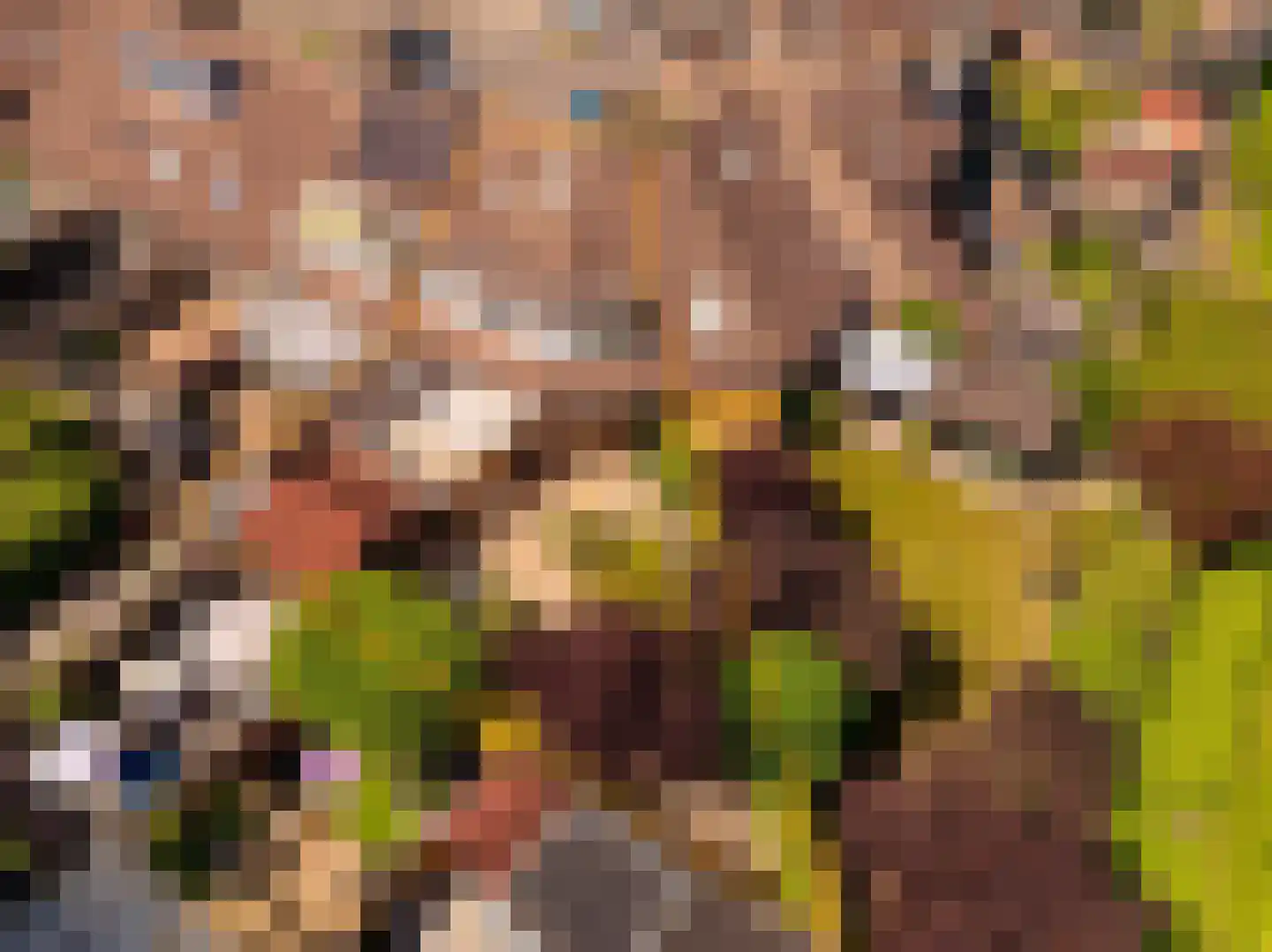 van Leeuwenhoekstraat 21 Hoogeveen thumbnail 6