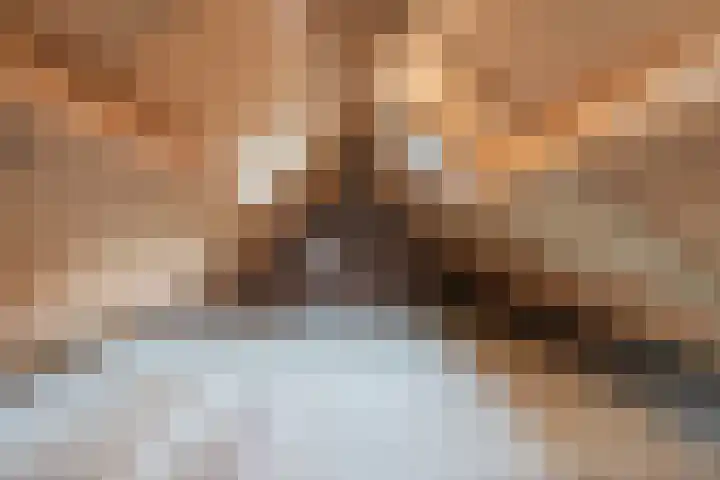 van Leeuwenhoekstraat 28 Hoogeveen thumbnail 30