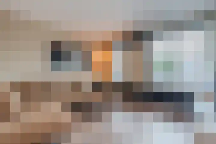 van Leeuwenhoekstraat 28 Hoogeveen thumbnail 6