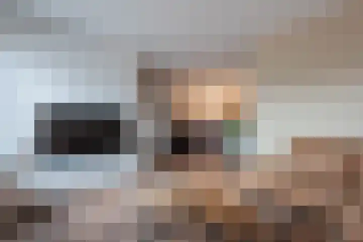 van Leeuwenhoekstraat 28 Hoogeveen thumbnail 8