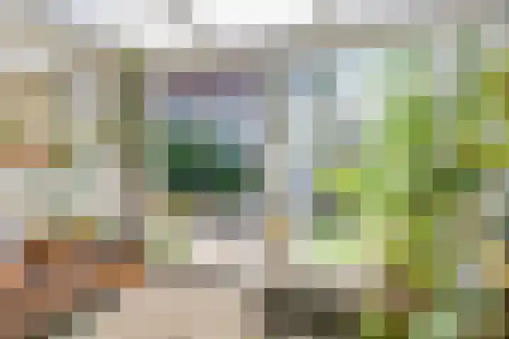 Van Leeuwenhoekstraat 29 Hilversum thumbnail 17