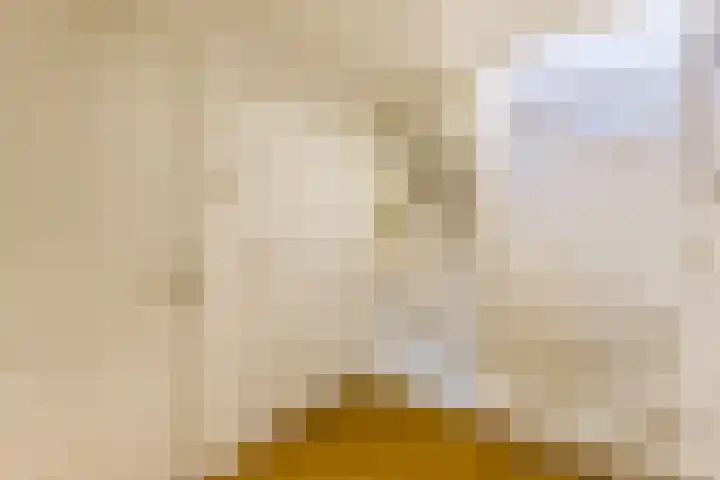 Van Leeuwenhoekstraat 29 Hilversum thumbnail 33
