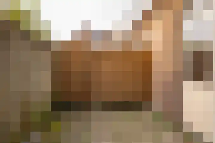 van Leeuwenhoekstraat 31 Hoogeveen thumbnail 17