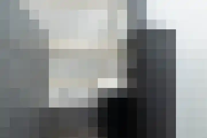 van Leeuwenhoekstraat 31 Hoogeveen thumbnail 32