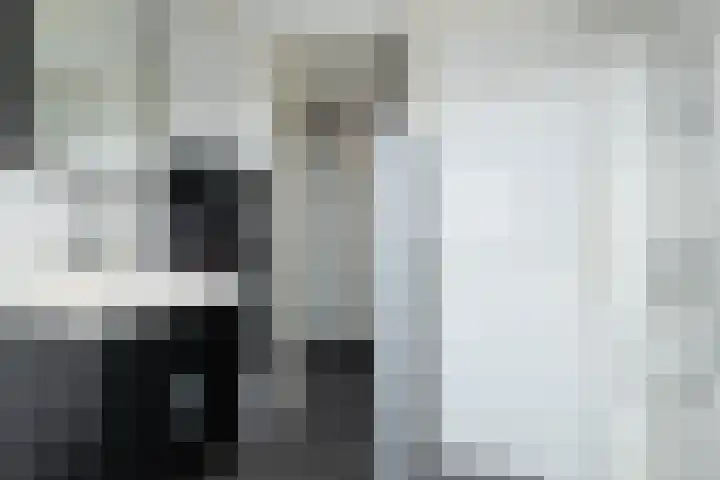 van Leeuwenhoekstraat 31 Hoogeveen thumbnail 34